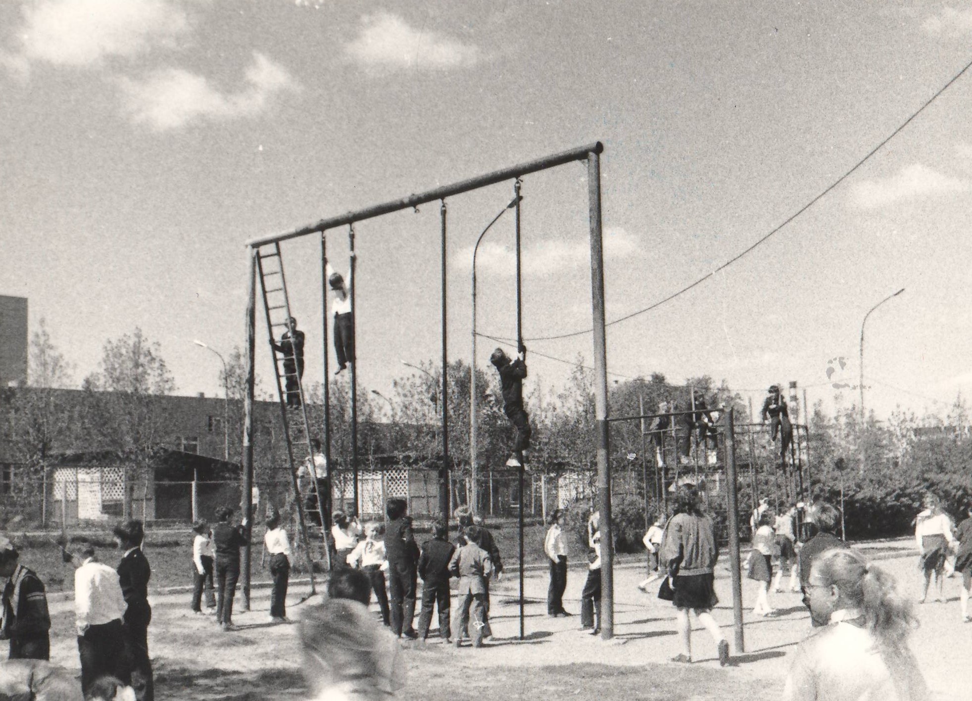 6 6